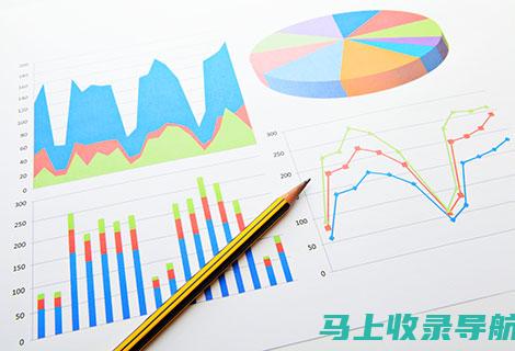 解析统计站站长职务层级：职务性质与地位探讨