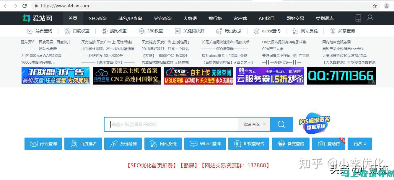 站长必备技能：掌握高效网站查询方法与技巧